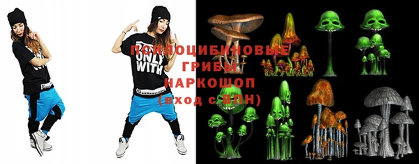Альфа ПВП Белокуриха
