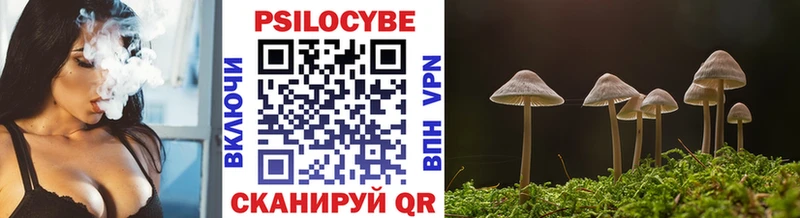 Псилоцибиновые грибы GOLDEN TEACHER  продажа наркотиков  Дудинка 